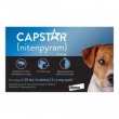 BestVetCare Special - Save 30% on Capstar for Dogs!