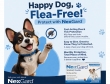 Nexgard-Chewable-for-Dogs-get-20-OFF-+-Free-Shipping